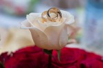 Wedding and event photography